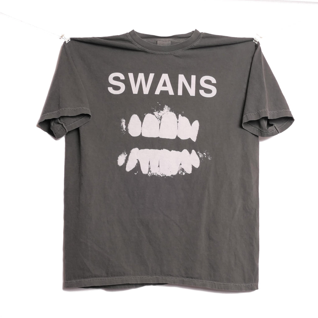 Swans Band Tee Experimental American Rock Group York Michael Gira Heavy Metal Punk Rock Alternative Heavyweight Faded Xl (1)
