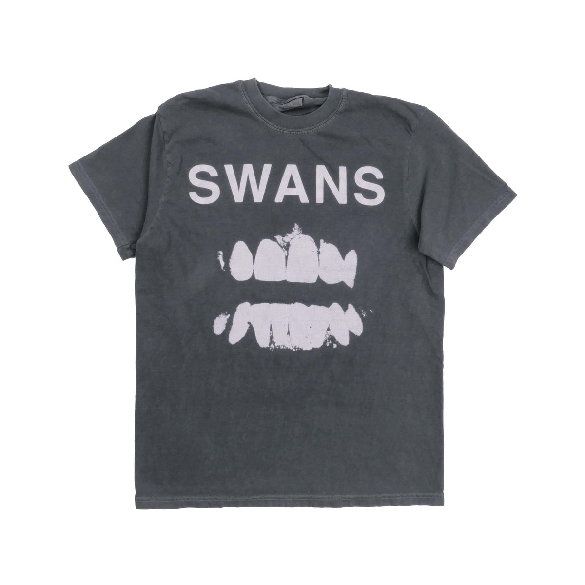 Swans Band Tee Experimental American Rock Group York Michael Gira Heavy Metal Punk Rock Alternative Heavyweight Faded Med (1)