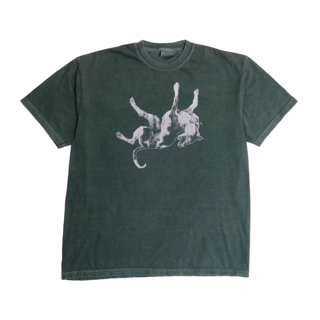 Jesus Lizard Tee Down Dog Noise Art Post Punk Wave Austin Texas Alternative Rock Noise Grunge Band Faded Green Xl (1)