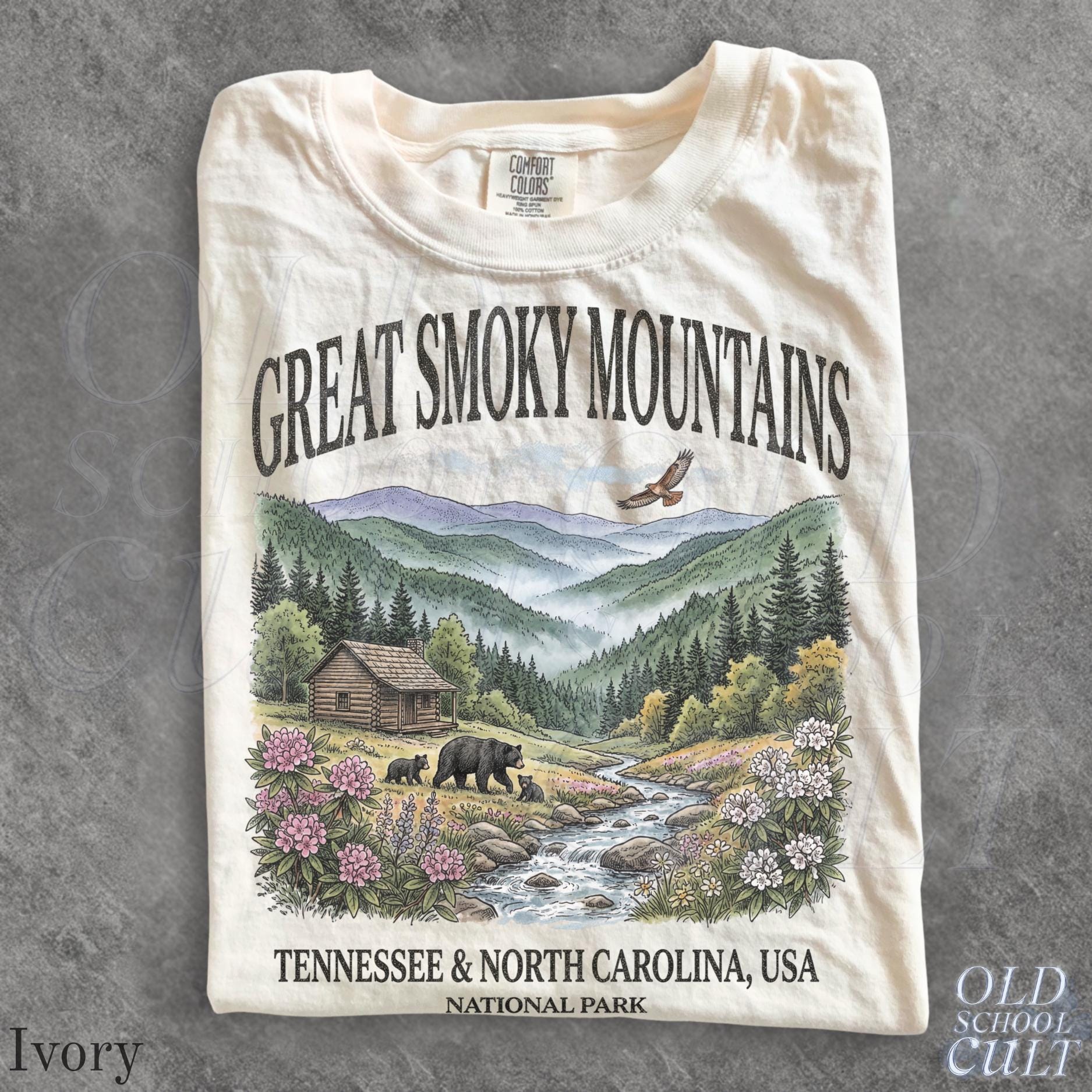 Smoky Mountains National Park Vintage 90s Retro Comfort Colors Mountain Cabin Bear Usa Nostalgia Tee (1)