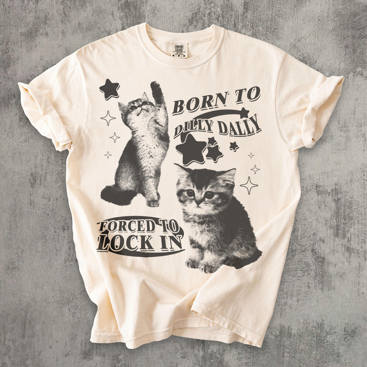 Born Dilly Dally Forced Lock Y2k Kitten Cat Meme Silly Cats Tee Comfort Colors Ironic Tees Cat Lover (1)
