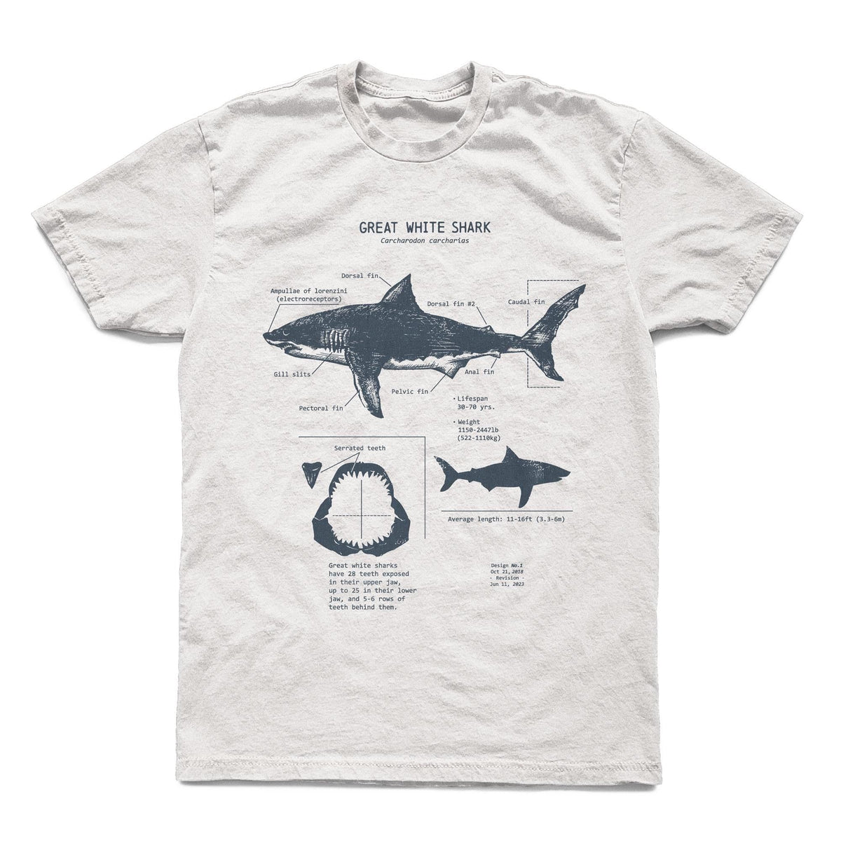 White Shark Anatomy Hand-Drawn Biology Diagram Screen Printed Ringspun (1)