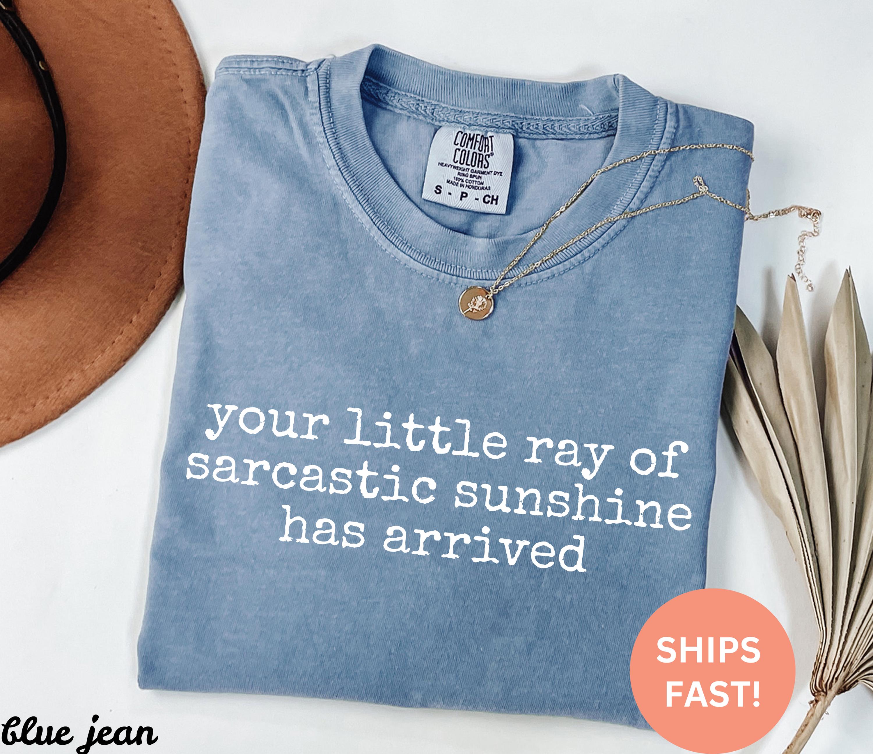 Comfort Colors Little Ray Sarcastic Sunshine Arrived Sarcastic Humor (1)