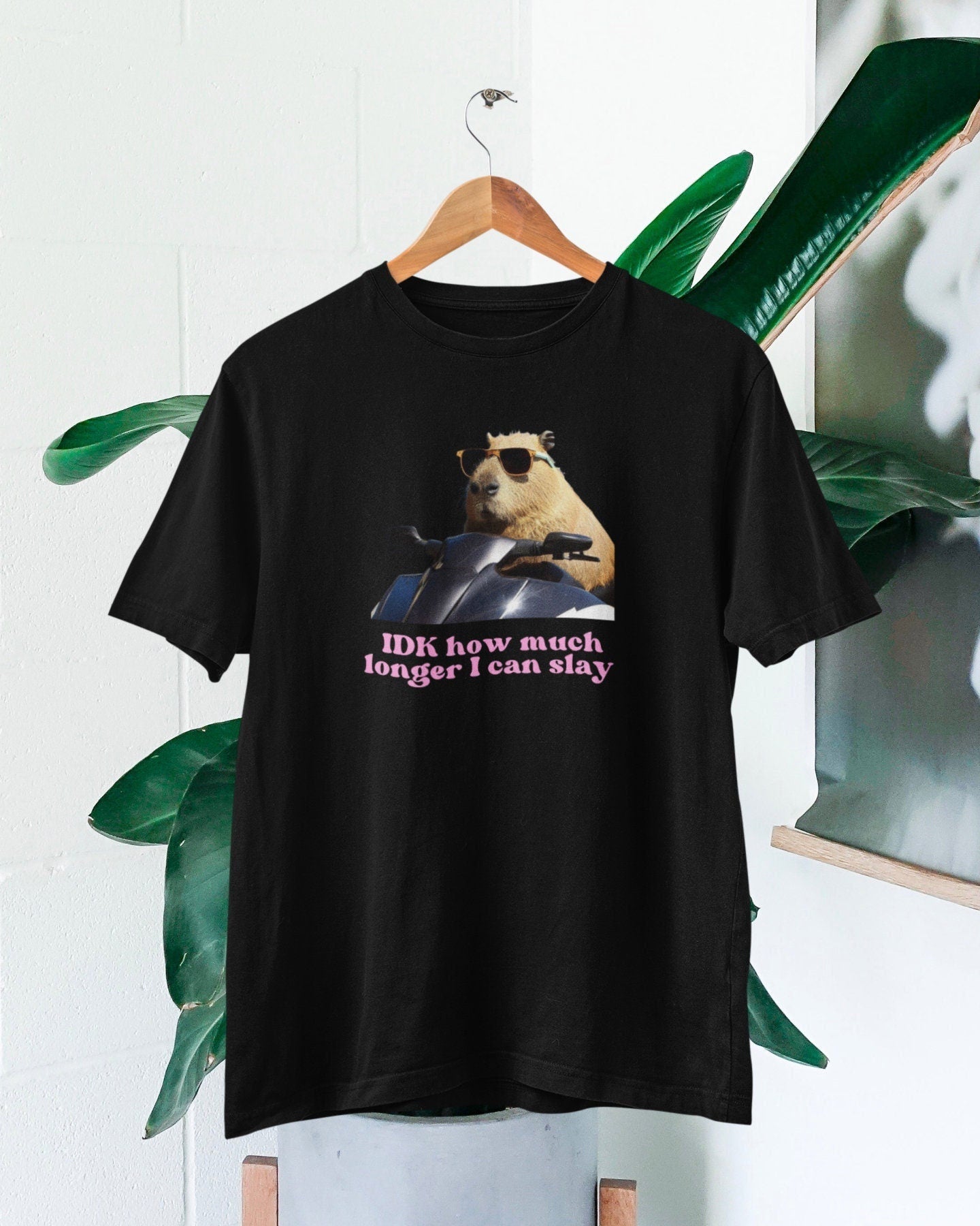 Capybara Slay Tiktok Fan Unisex T-shirt, Sweatshirt, Hoodie (1)