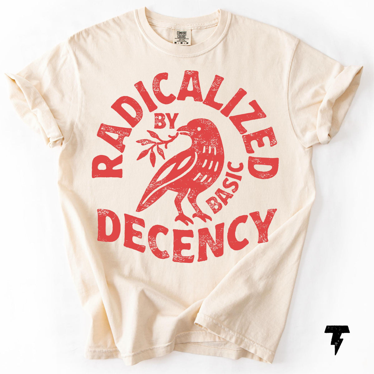 Radicalized Basic Decency Comfort Colors Activist Tee Unisex T-shirt, Sweatshirt, Hoodie (1)