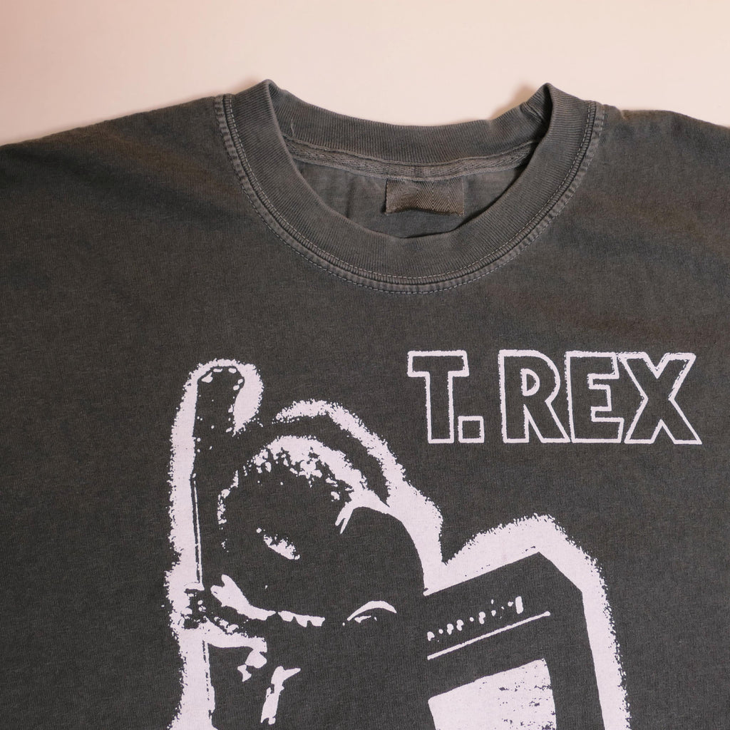Rex Band Tee Beard Stars Tyrannosaurus Rex Tour Post Punk Wave Alternative Rock Trex English Uk Heavy Metal Faded Xl (2)