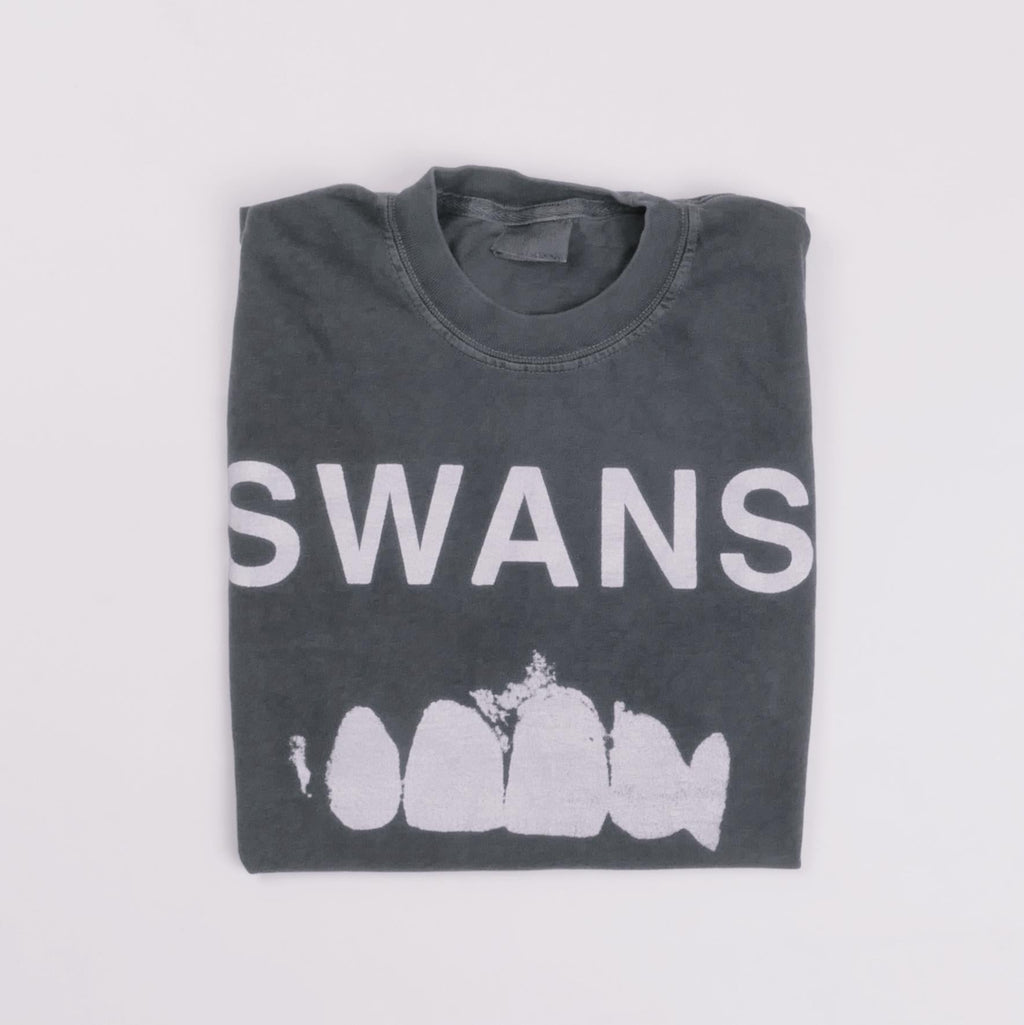 Swans Band Tee Experimental American Rock Group York Michael Gira Heavy Metal Punk Rock Alternative Heavyweight Faded Med (2)