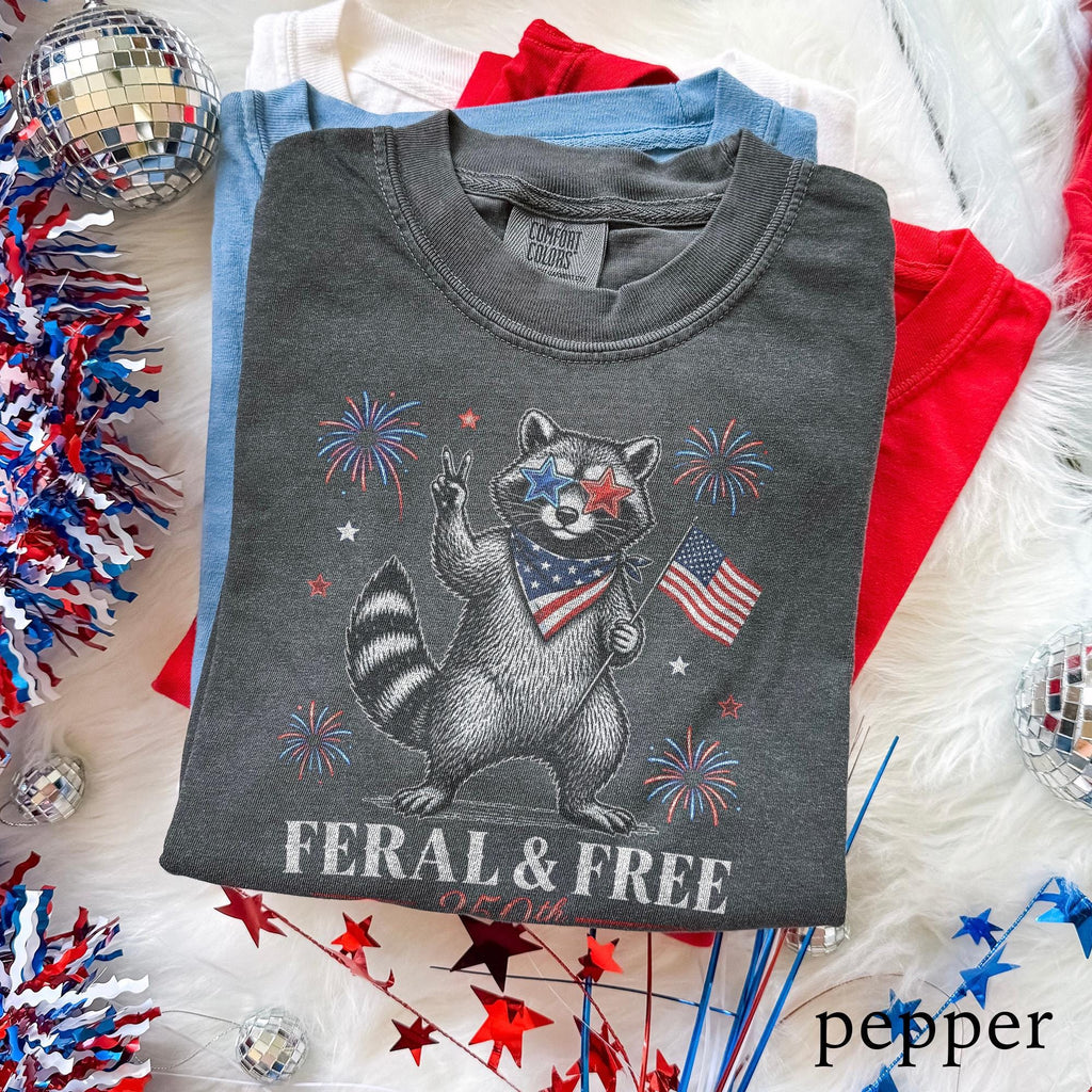 Usa 250th Anniversary Feral Free Raccoon Tee Patriotic America Comfort Colors Freedom Tee (2)