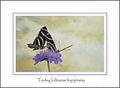 Happy Butterflies 2 Print