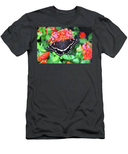 Palamedes Swallowtail Butterfly #1 T-Shirt