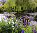 Spring In Giverny #1 Print