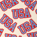 USA Varsity Letter Embroidered Heat Press Style Patch