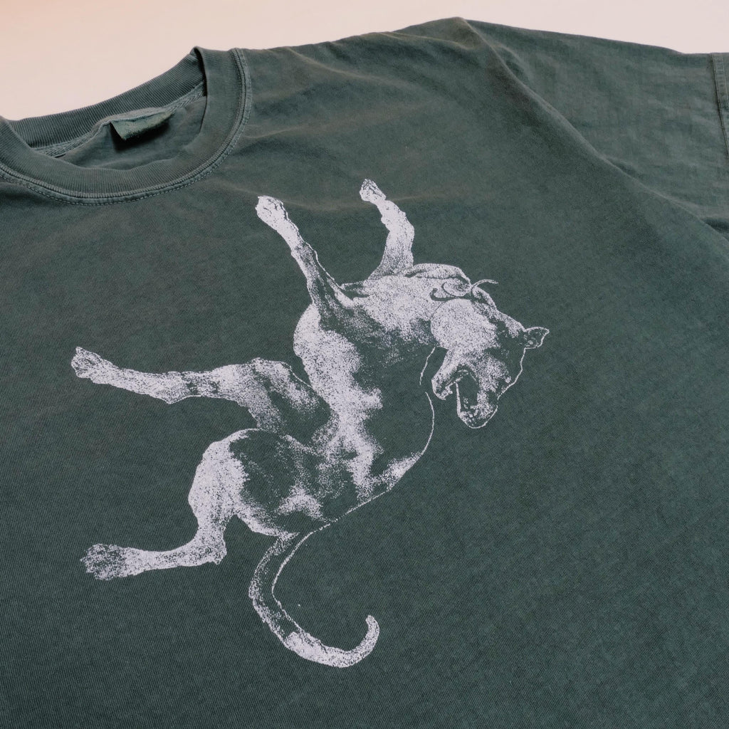 Jesus Lizard Tee Down Dog Noise Art Post Punk Wave Austin Texas Alternative Rock Noise Grunge Band Faded Green Xl (3)