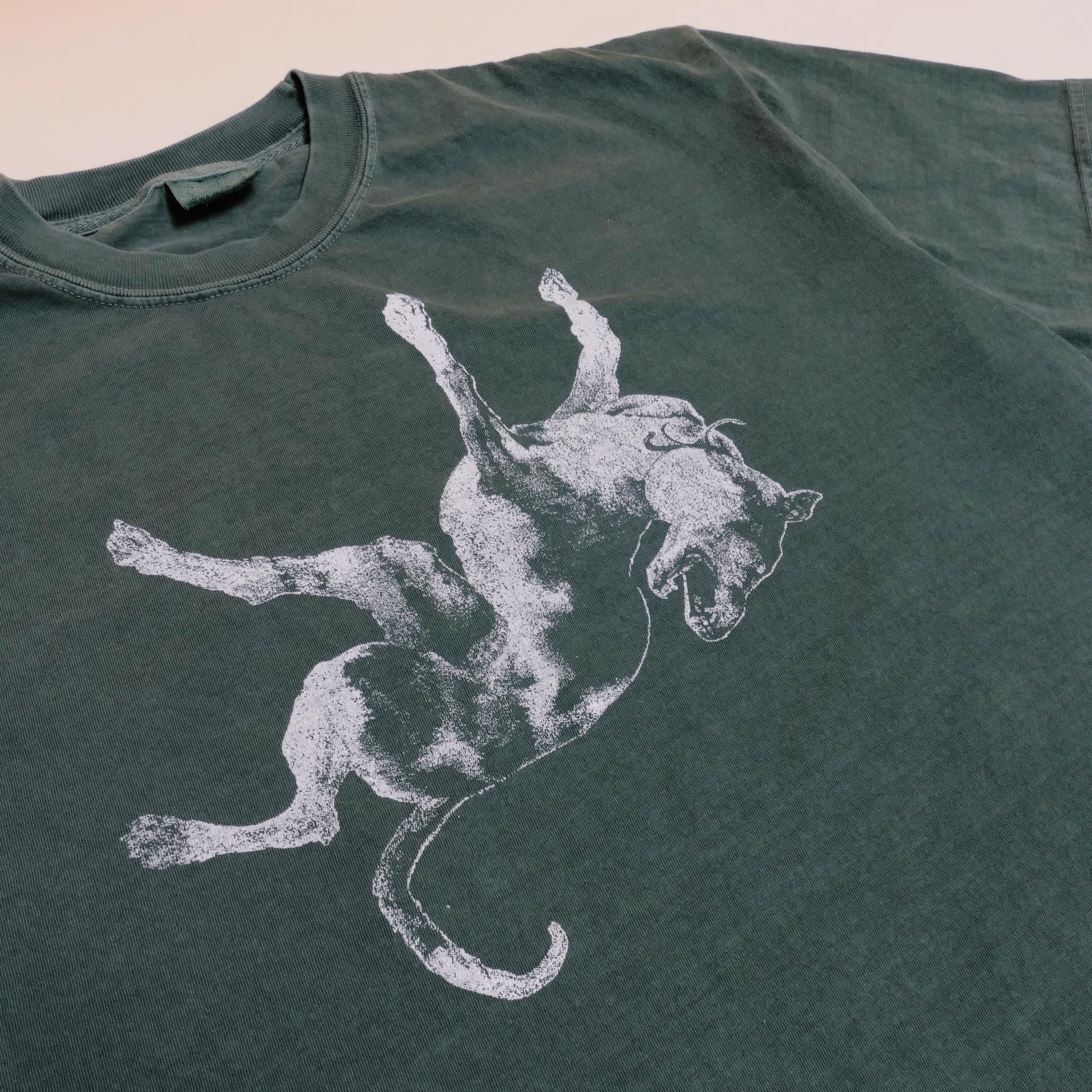 Jesus Lizard Tee Down Dog Noise Art Post Punk Wave Austin Texas Alternative Rock Noise Grunge Band Faded Green Xl (3)