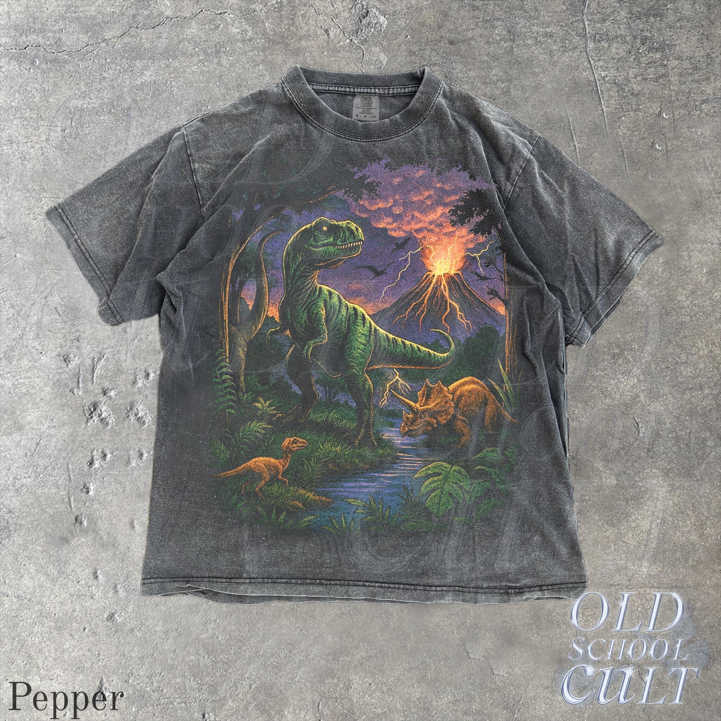 Vintage Jurassic Dinosaur 90s Retro T-Rex Triceratops 90s Prehistoric Dino Nostalgia Nature (3)