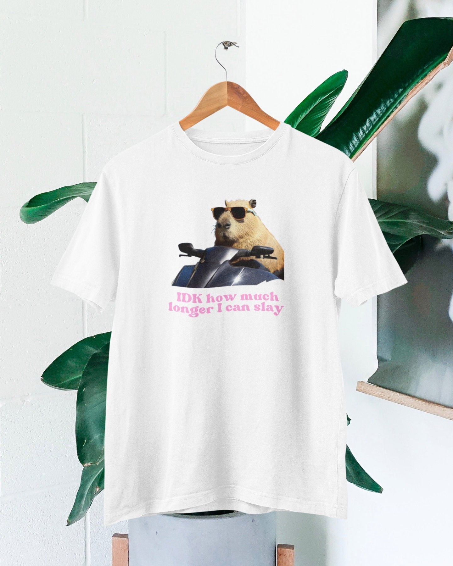 Capybara Slay Tiktok Fan Unisex T-shirt, Sweatshirt, Hoodie (3)