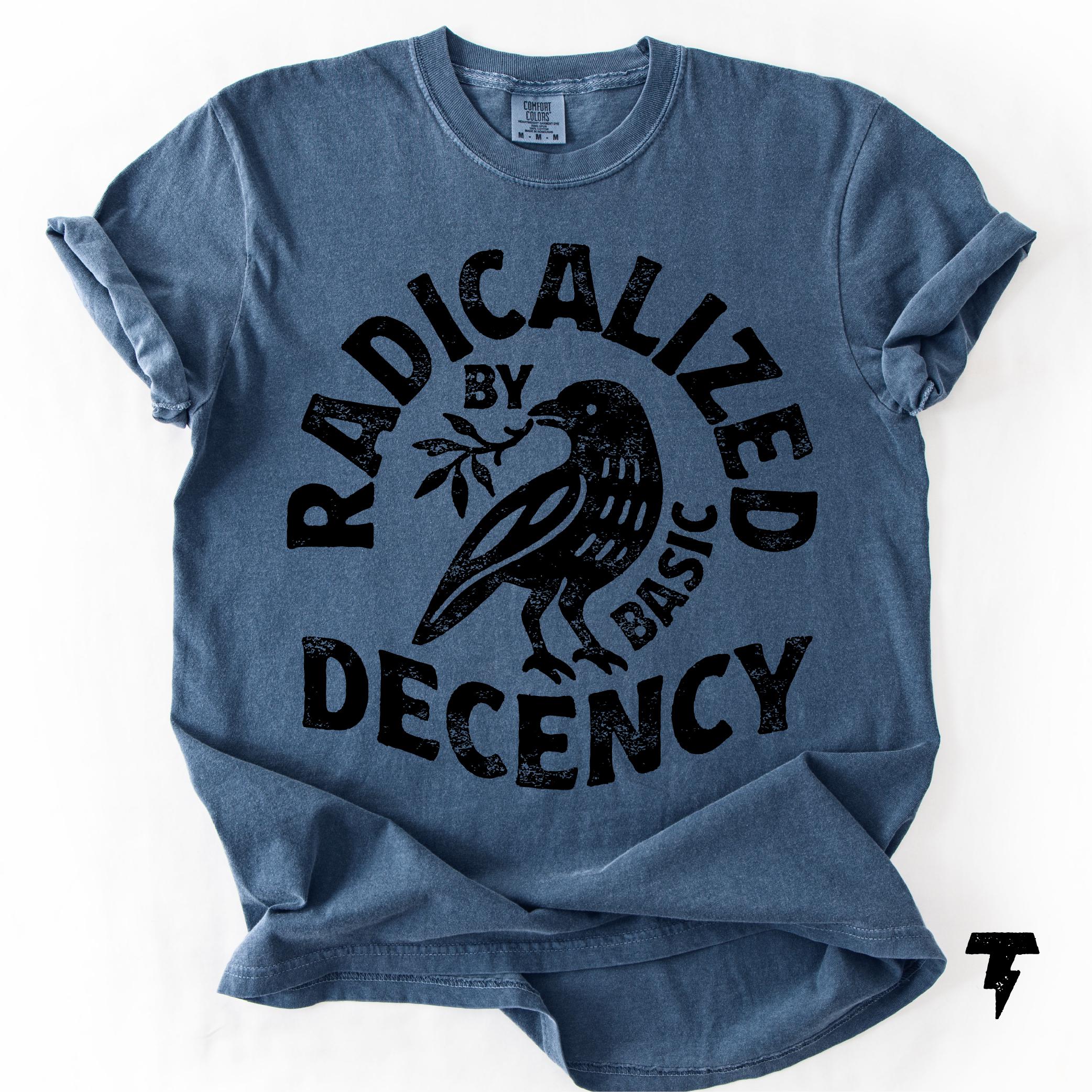 Radicalized Basic Decency Comfort Colors Activist Tee Unisex T-shirt, Sweatshirt, Hoodie (3)