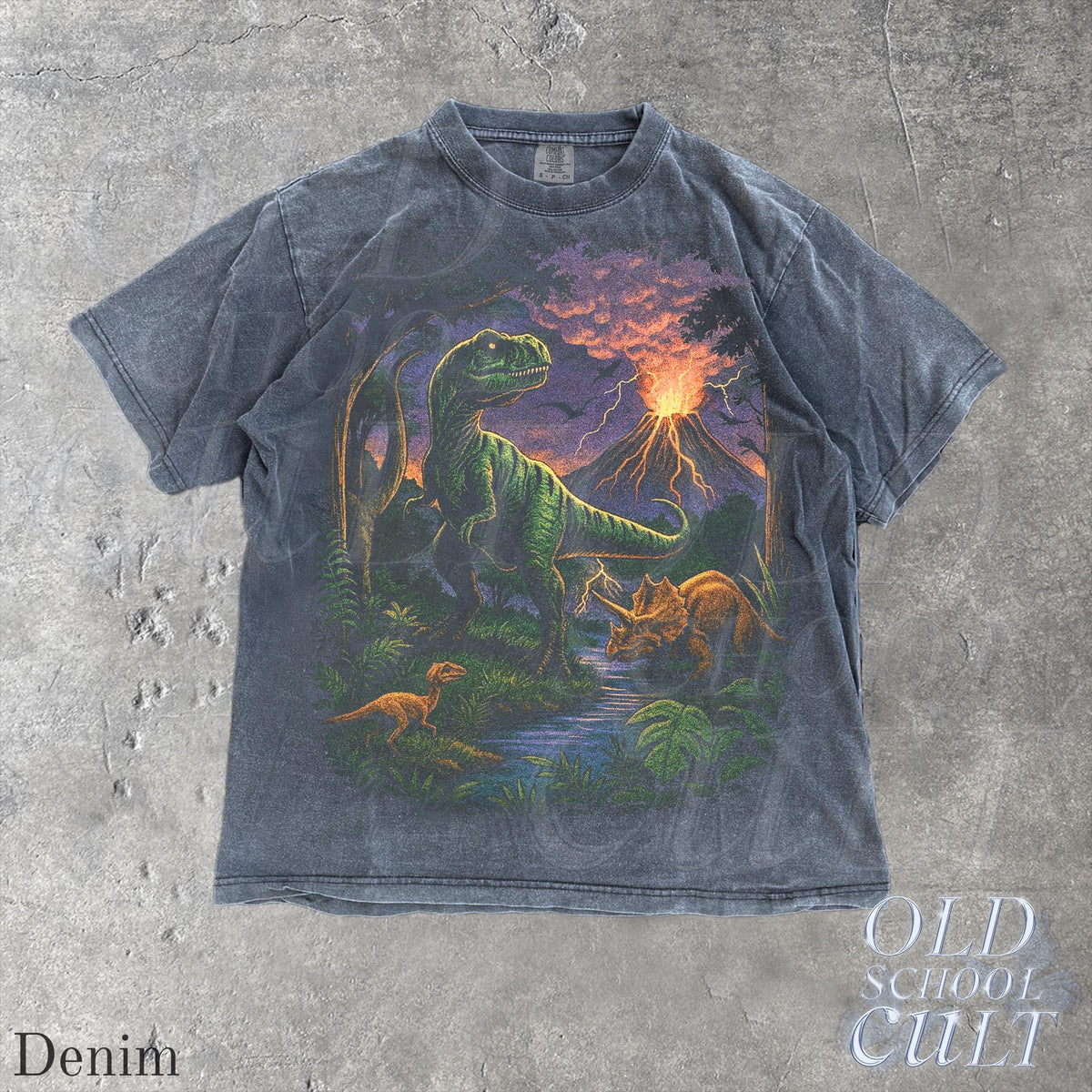 Vintage Jurassic Dinosaur 90s Retro T-Rex Triceratops 90s Prehistoric Dino Nostalgia Nature (5)