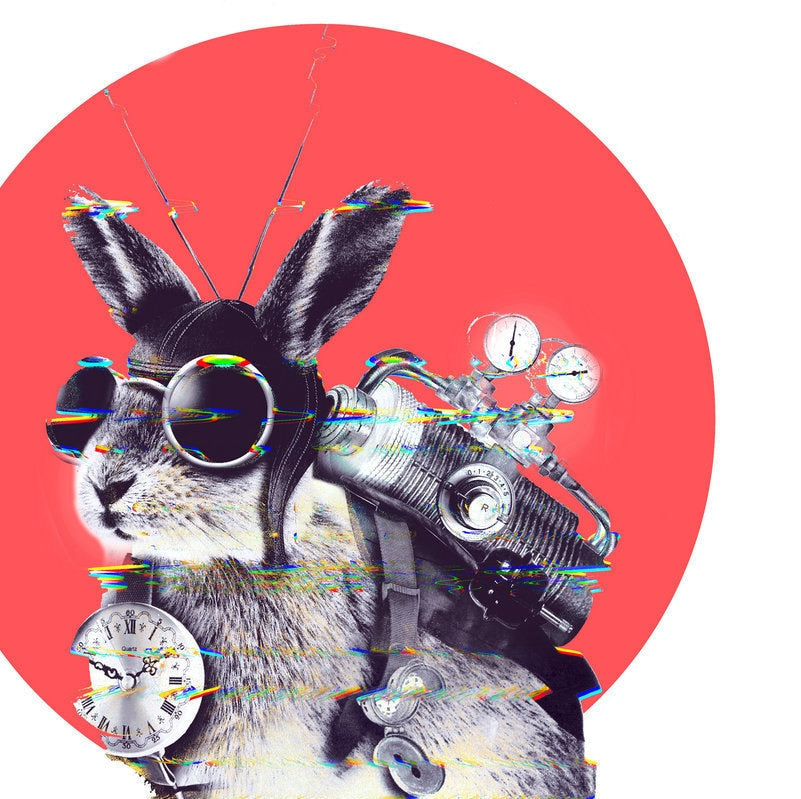 Steampunk Bunny Art Time Traveler Animal Unisex T-shirt, Sweatshirt, Hoodie (5)