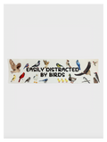 Easily Distracted By Birds Bumper Sticker