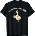 Funny Dad Goose Cute Outnumbered By Girls Fathers Day T-Shirt