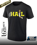 Hail dunk Michigan Wolverines Men’s Basketball National Champions shirt