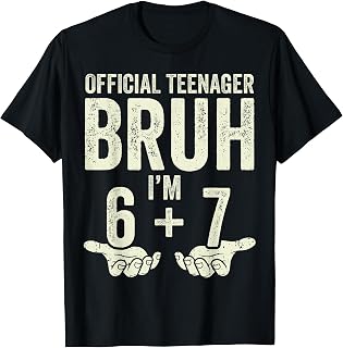 Official Teenager 13th Birthday Boys 13 Year Old 6 7 T-Shirt