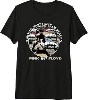 A Momentary Lapse of Reason Learning to Fly 1987 Premium Tri-Blend T-Shirt