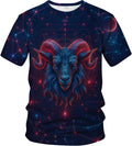 Fantasy Zodiac Graphic T-Shirt Novelty Short Sleeve Crewneck Shirt