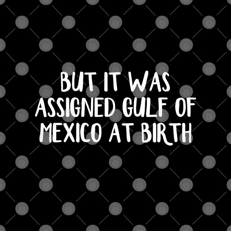 But It Was Assigned Gulf Of Mexico At Birth T Shirt