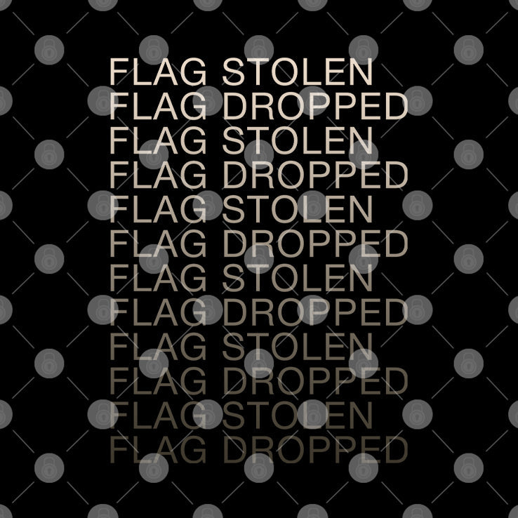 Flag Stolen Dlag Dropped T Shirt