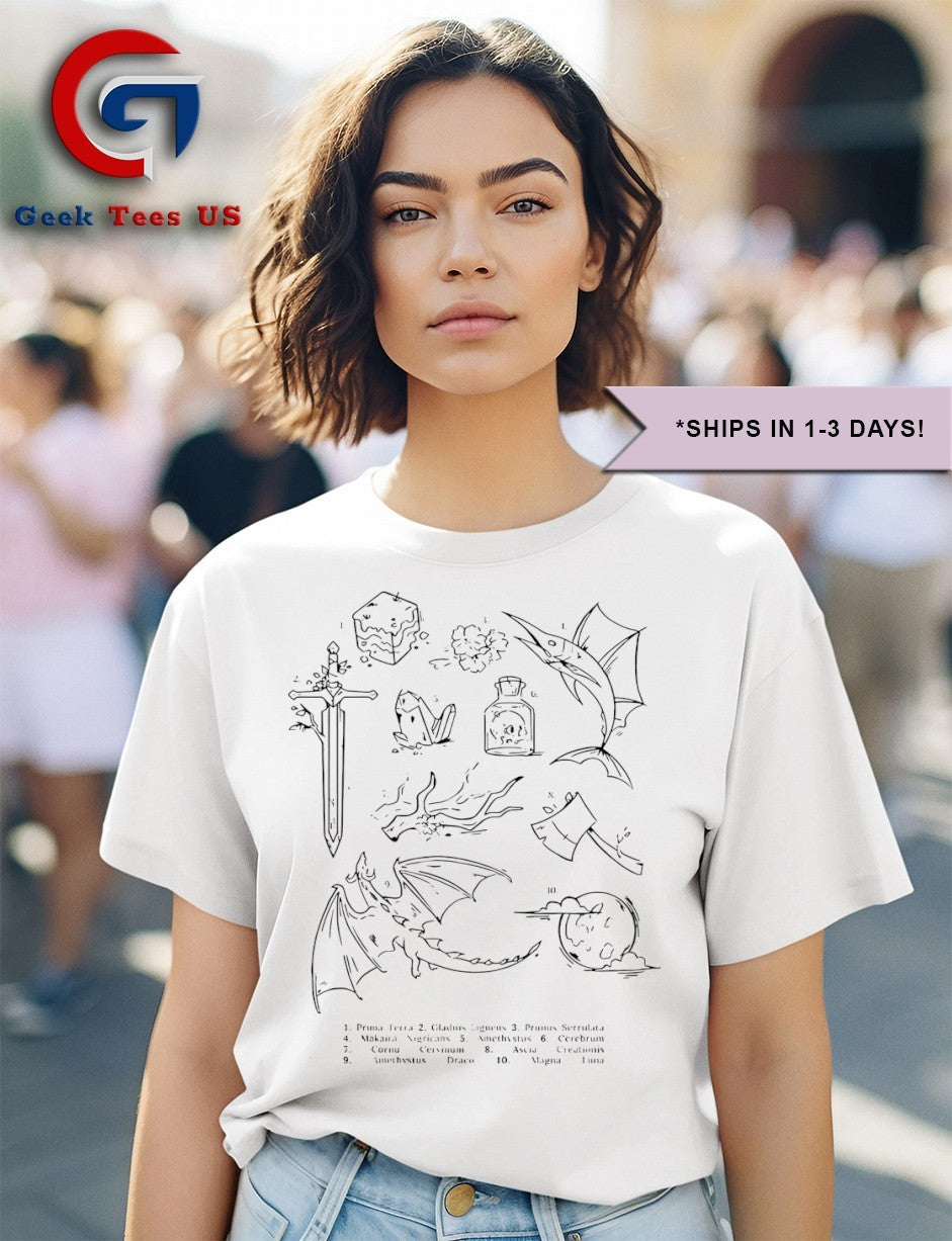 Geminitay Research shirt