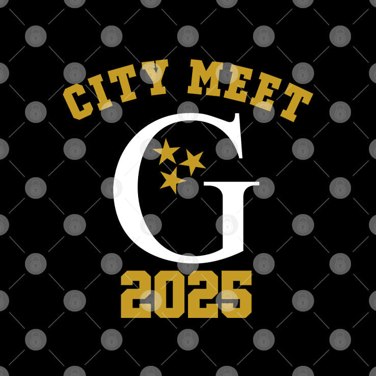 Gettysvue Swim City Meet 2025 T Shirt