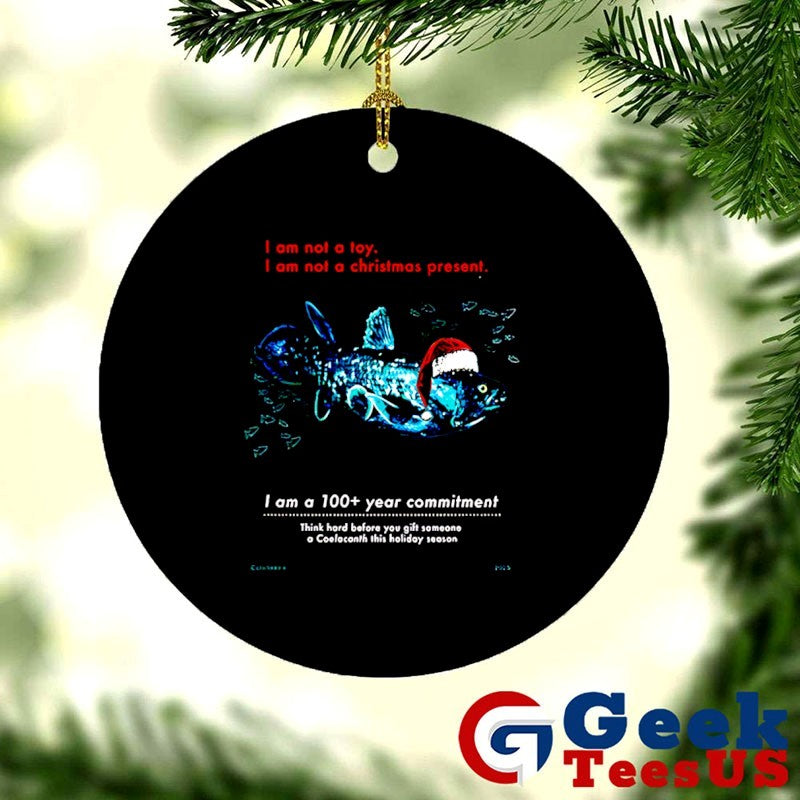 I am not a toy I am not a Christmas present shirt