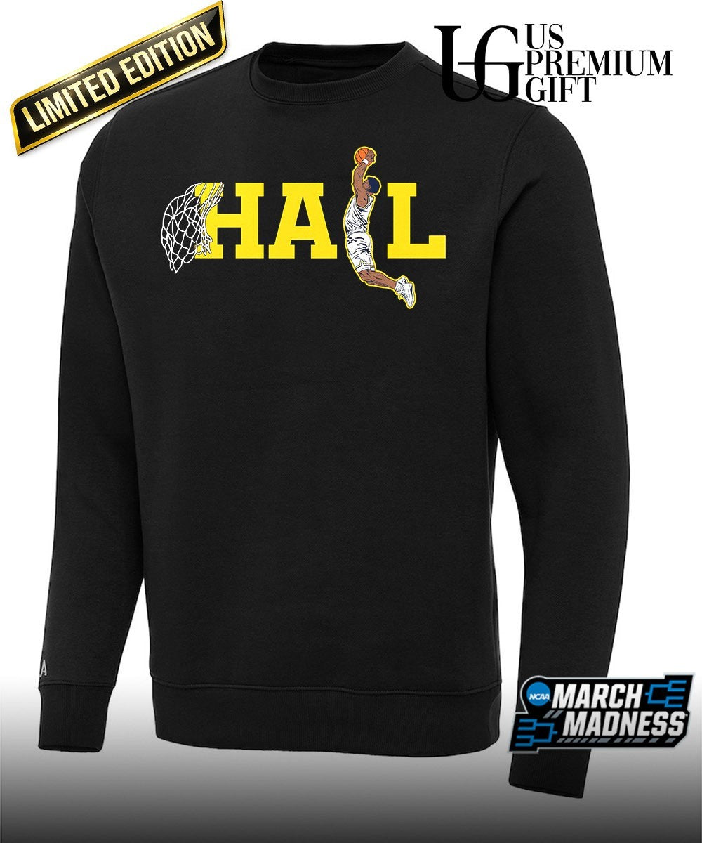 Hail dunk Michigan Wolverines Men’s Basketball National Champions shirt