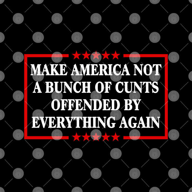 Make America Not A Bunch Of Cunts Offended By Everything Again Tee Shirt