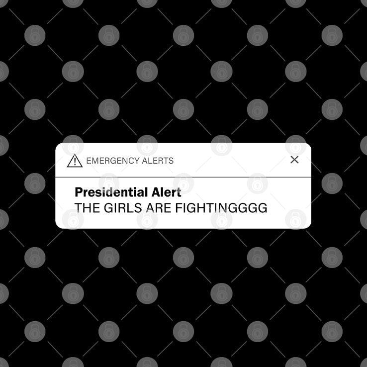 Musk Trump Presidential Alert The Girls Are Fighting T Shirt