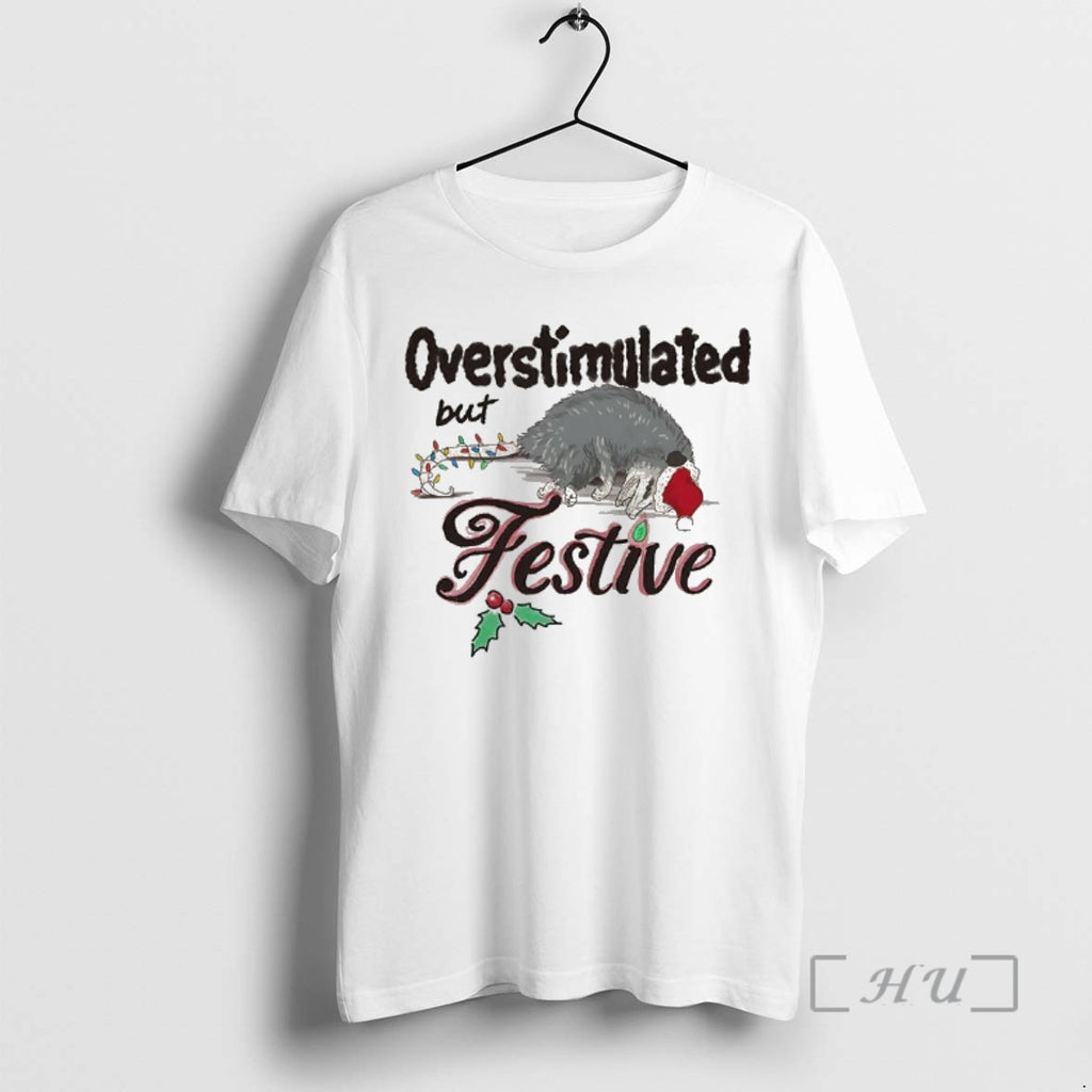 Officials Overstimulated But Festive Opossum Christmas