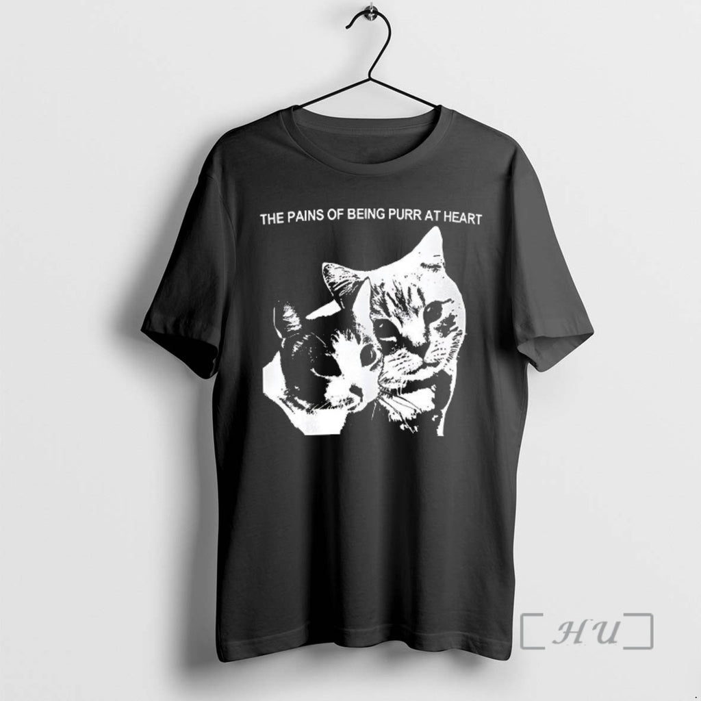 Officials The Pains Of Being Pure At Heart Cat