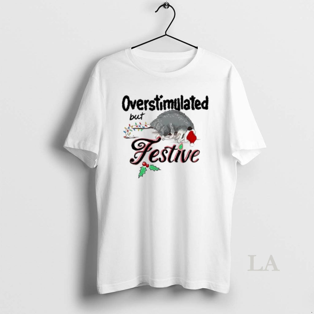 Original Overstimulated But Festive Christmas Lights