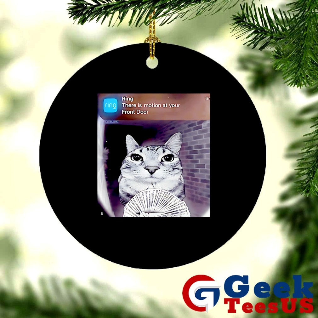 Ring cat with motion meme shirt
