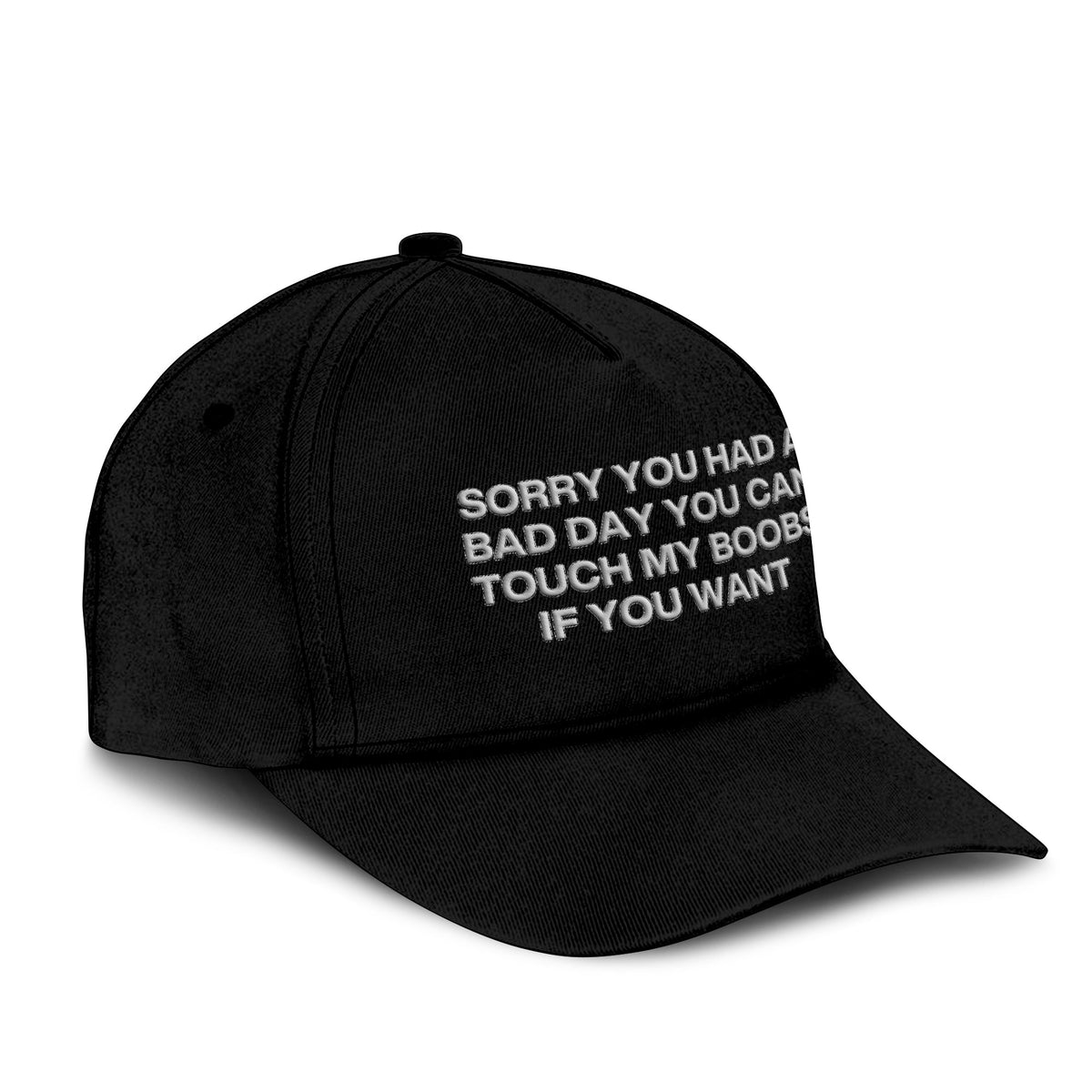 Sorry You Had A Bad Day You Can Touch My Boobs If You Want Hat