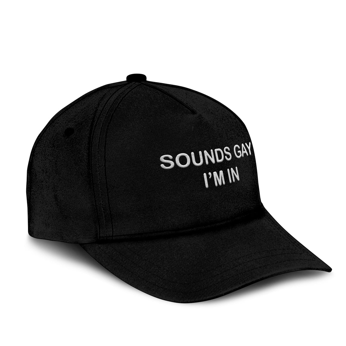 Sounds Gay I’m In Hat