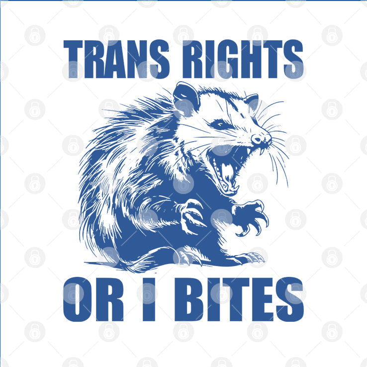 Trans Rights Or I Bites Raccoon T Shirt