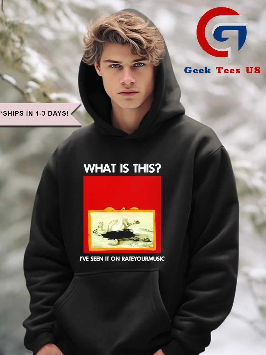 What is this I’ve seen it on Rateyourmusic shirt