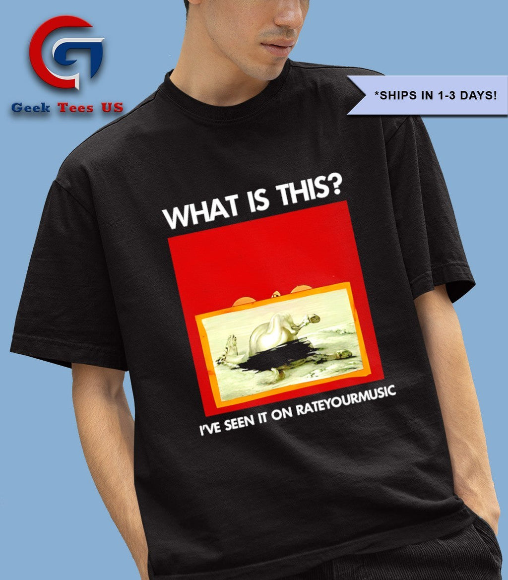 What is this I’ve seen it on Rateyourmusic shirt