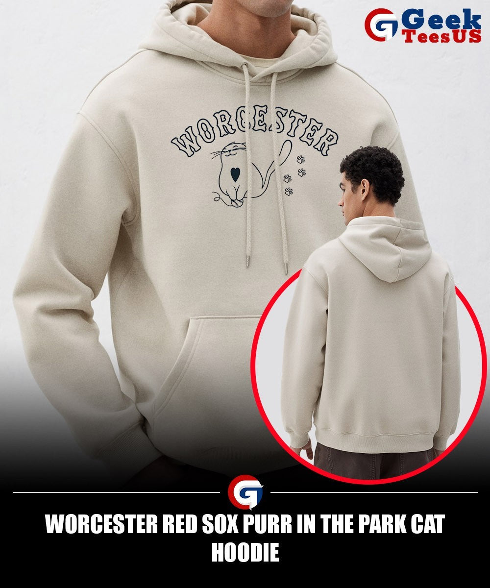 Worcester Red Sox purr in the park cat shirt