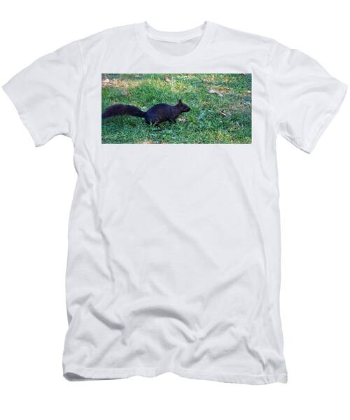 A Black Squirrel T-Shirt