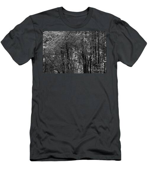 A Forest Within A City T-Shirt