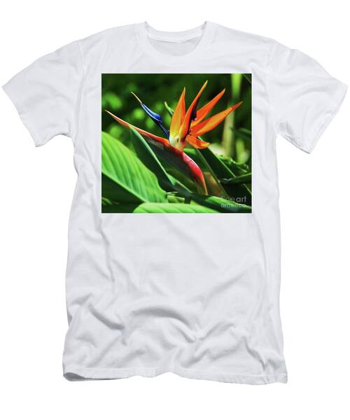 A Gorgeous Bird Of Paradise In Bermuda T-Shirt
